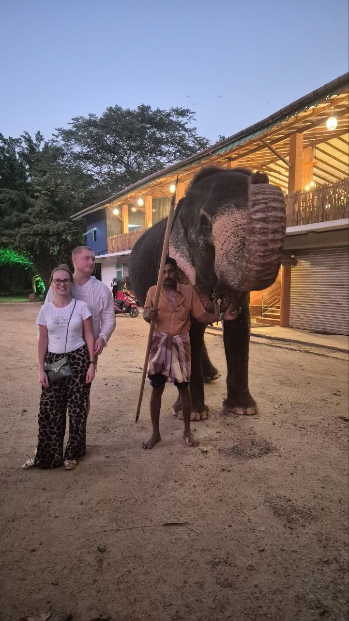 Шри-Ланка | 31.01 — 10.02.2025. Галерея Фантим