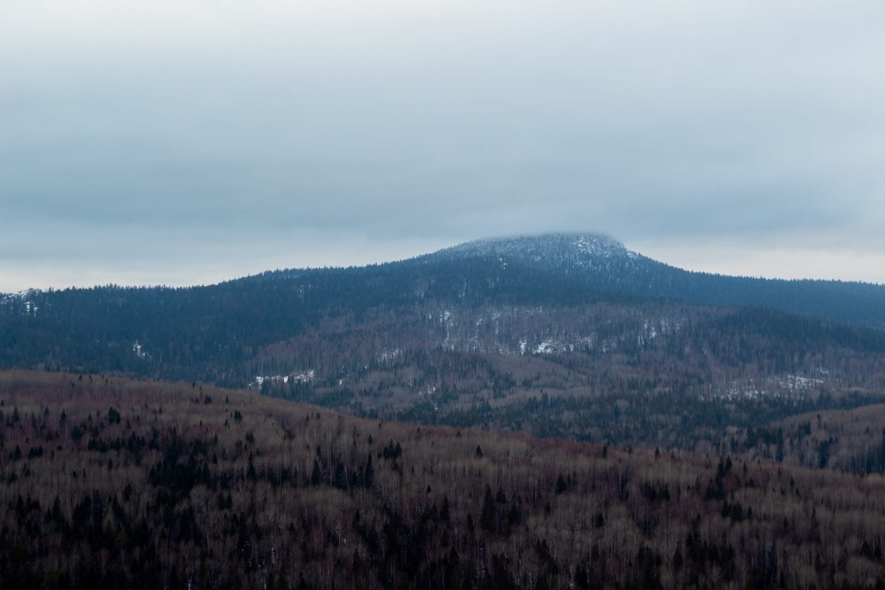 Полюд и Ветлан