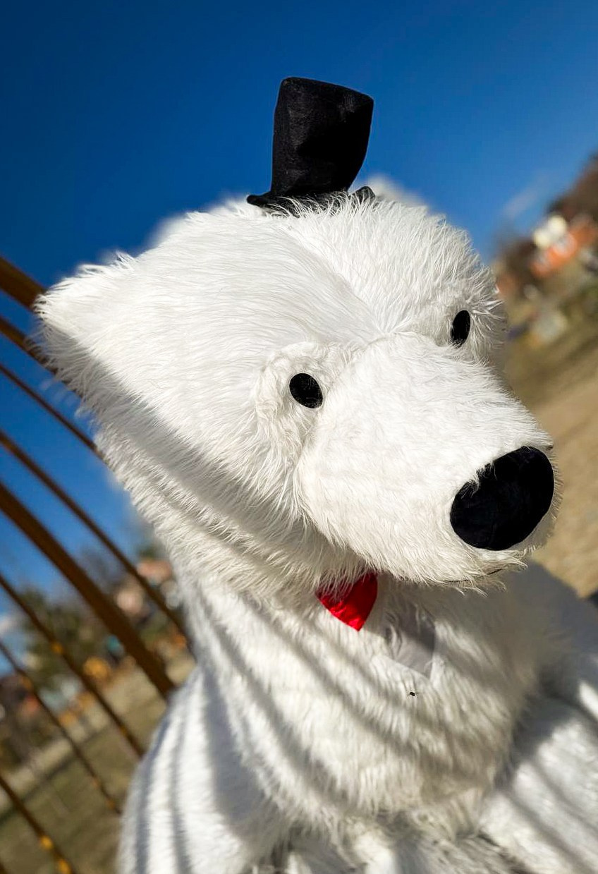 Эксперсс поздравление.ростовые куклы, медведь, панда, горилла. Организатор праздников. Ведущая Марина Гребенникова