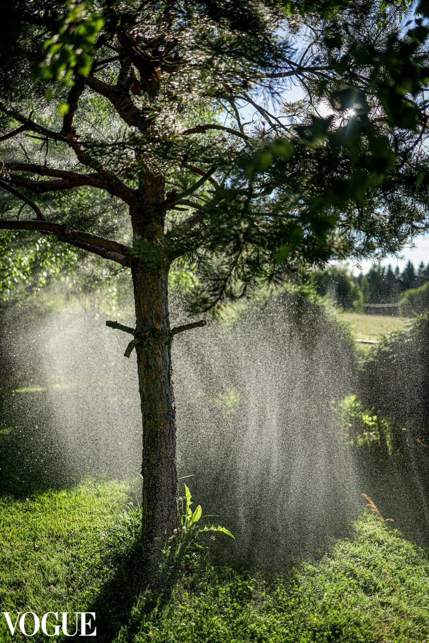 Vogue & iconic. Фотохудожник в СПб