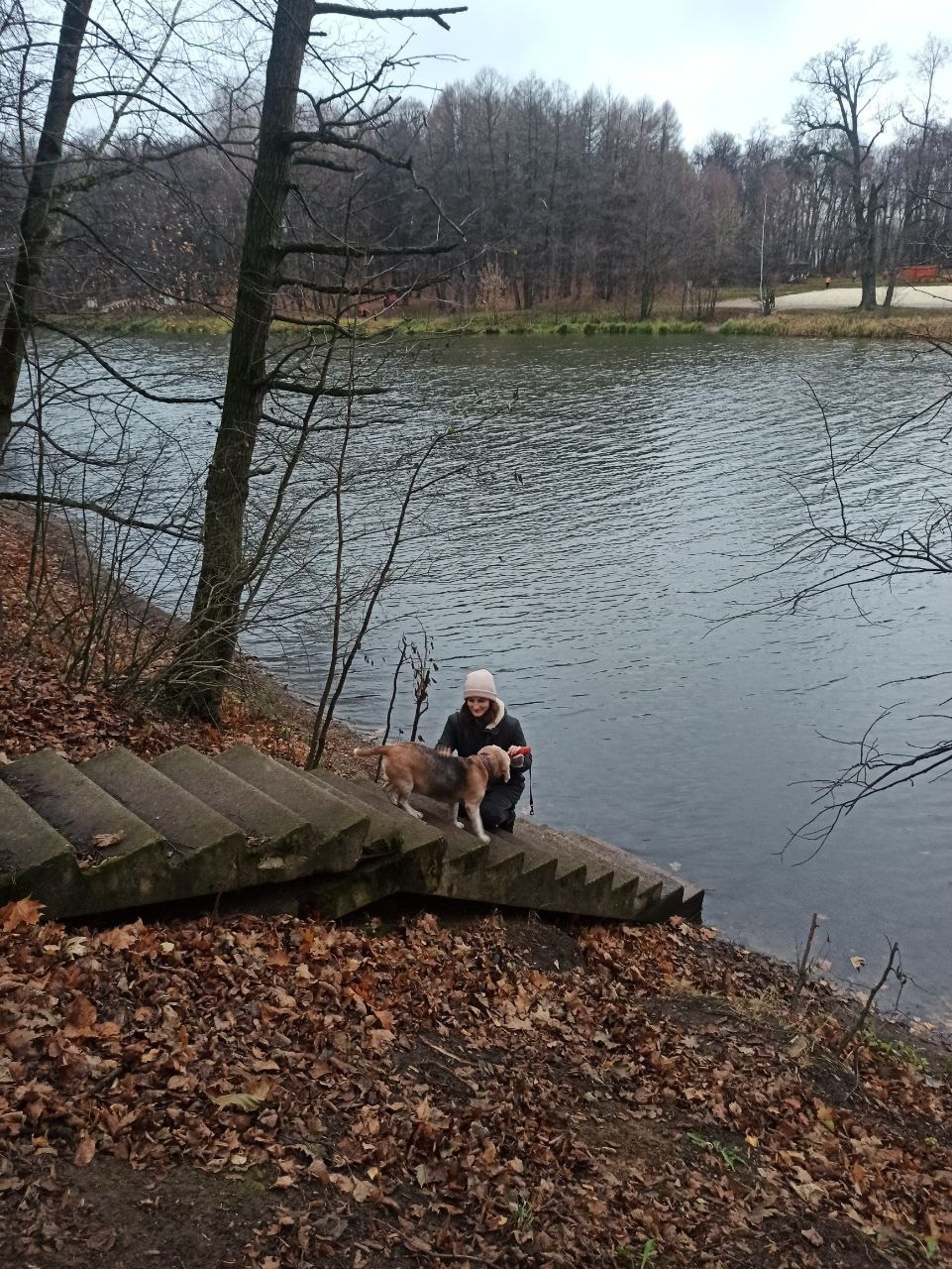Рейко сынок Честера. Питомник китайских хохлатых собак Poale Ell: купить щенка в питомнике
