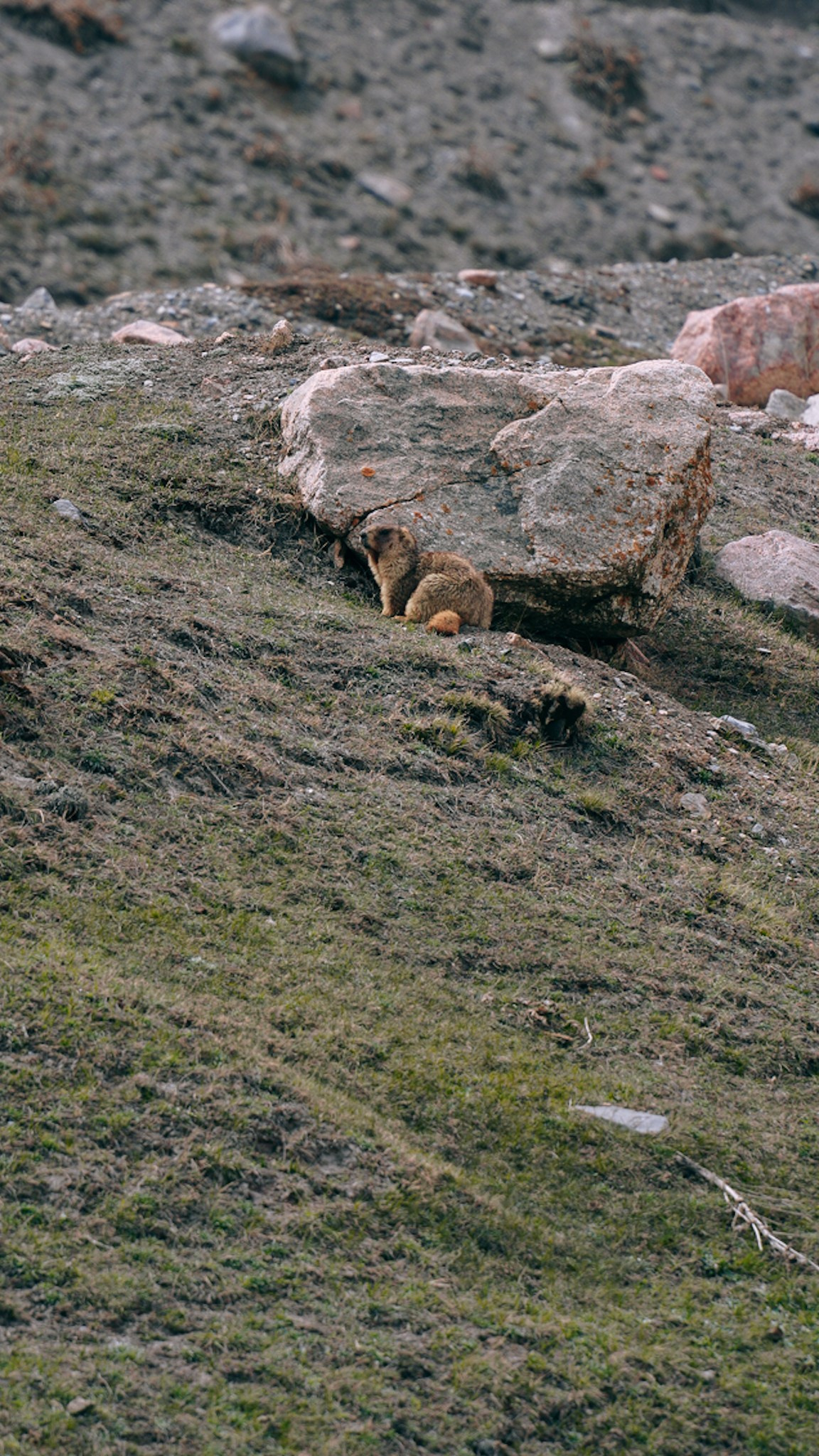 Кыргызстан. Человек с фотокамерой