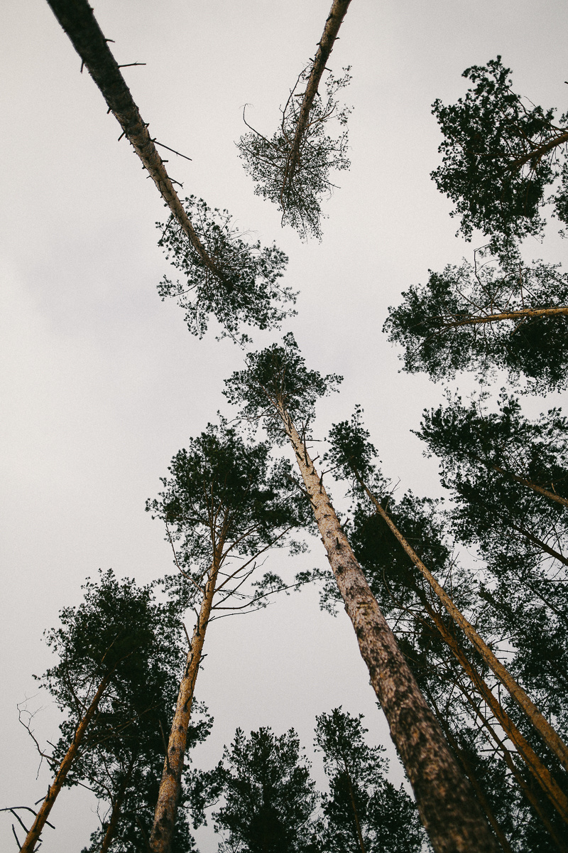 Огонек. Соня Черных (sophieblack)