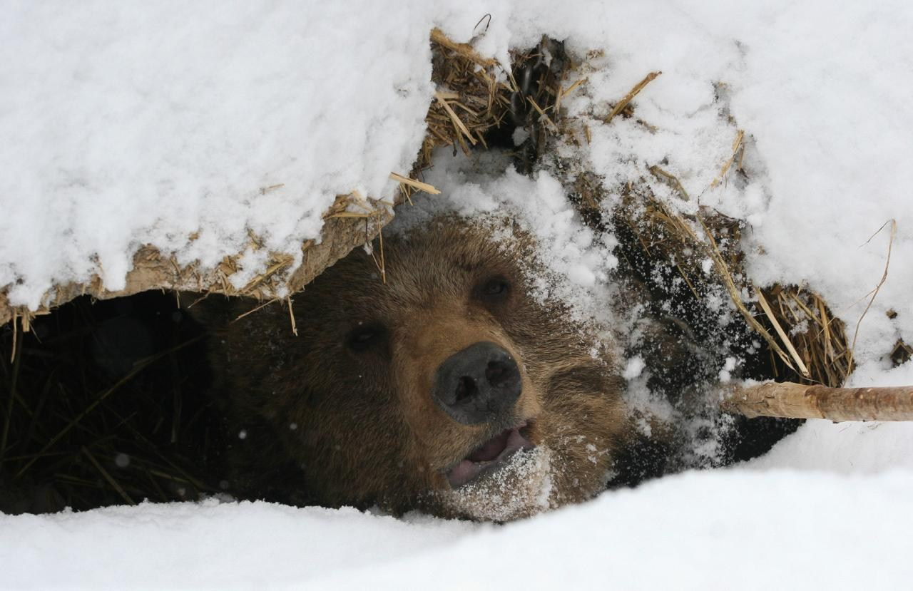 ФОТОЖУРНАЛИСТИКА. Репортажный фотограф в Минске. Алексей Матюшков