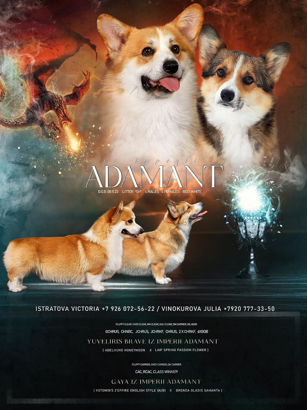 Презентации. Фотограф — анималист в Туле Юлия Лето