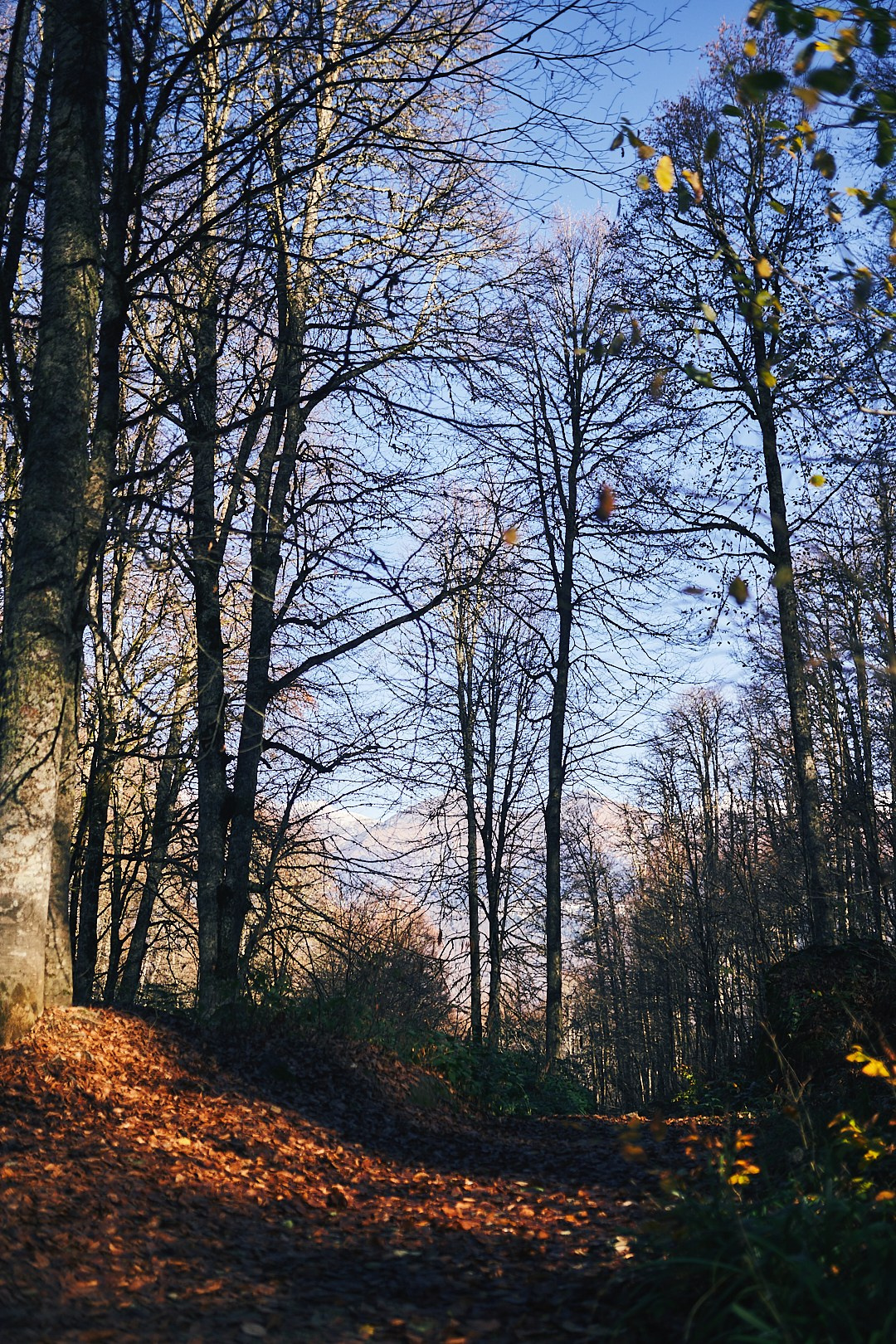 Фотографии с похода на водопад Поликария. Фотограф в Сочи Катя Гончарова