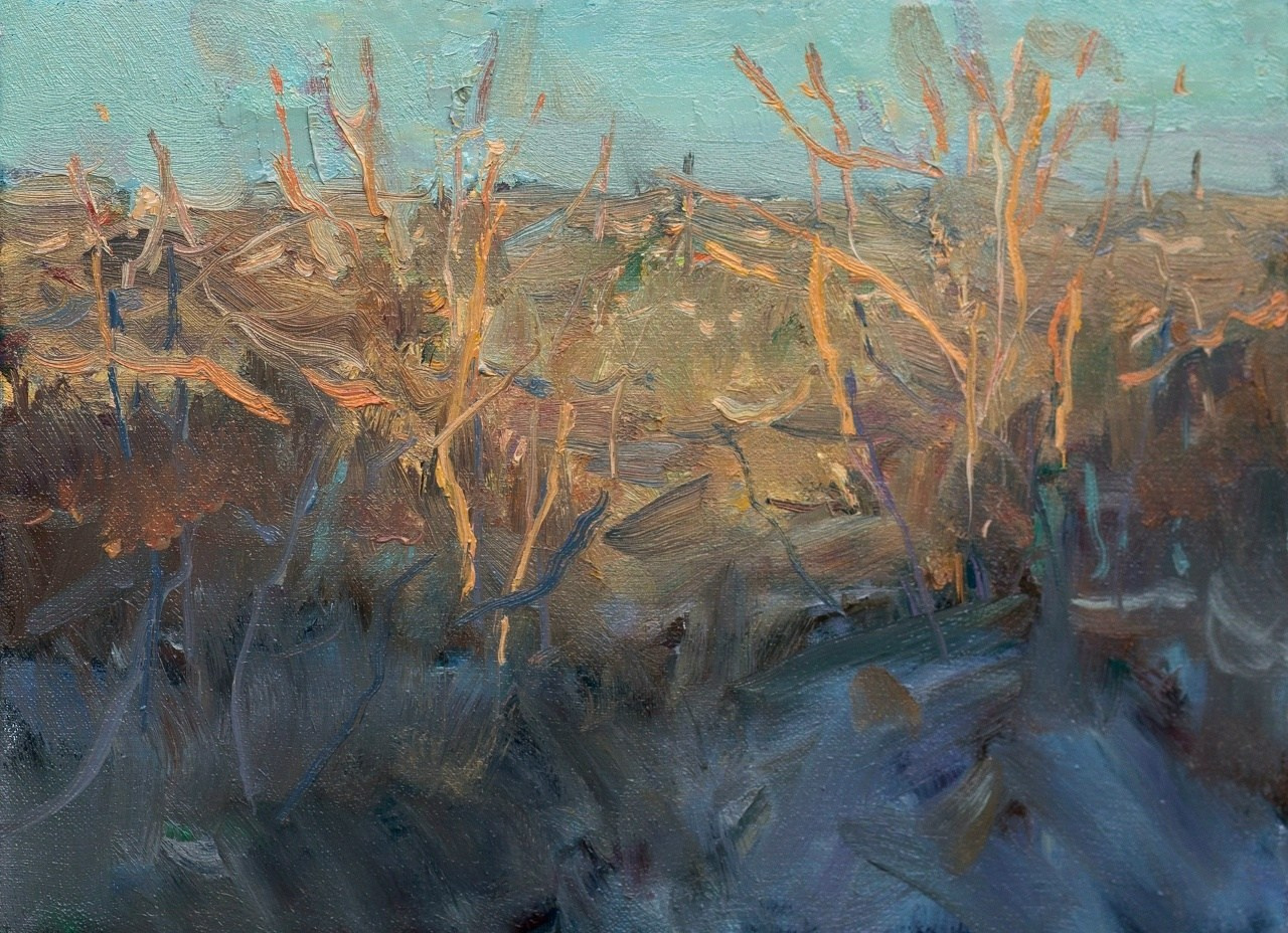 Елец. Мартовский вечер.