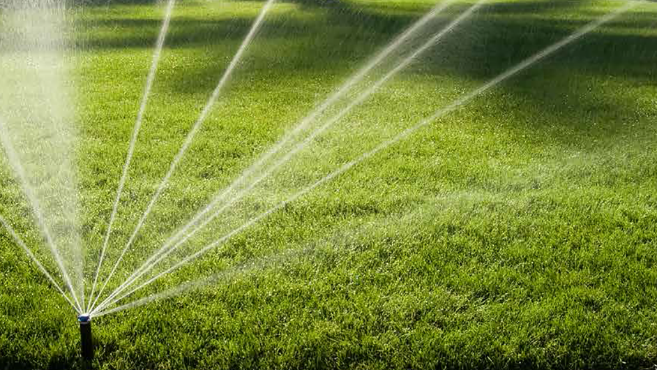 Устройство заборов Ленинградская область и Санкт-Петербург, заказать забор в Петербурге, устройство заборов в Петербурге, строители в Петербурге, сделать забор в Ленинградской области, сделать забор в Пушкине, заказать забор в Павловске, Заказать забор на дачу ЛО, строители ЛО, построить дом в петербурге, построить дом пушкин, строительная бригада в пушкине, построить дом в пушкине, построить дом в павловске, дом из газобетона в павловске, дом из газобетона в пушкине, строительство домов СПБ, укладка тротуарной плитки в Ленобласти, укладка тротуарной плитки в Пушкине, укладка тротуарной плитки в Петербурге, заказать тротуарную плитку на дачу, уложить тротуарную плитку, Ленобласть, Гатчинский район, Пушкин, Тосненский район, Павловск, благоустройство загородных участков в Ленинградской области, сделать дренаж на участок в павловске, сделать дренаж на участок в пушкине, сделать  ливневую канализацию на участок СПБ, сделать дренаж на участок в Ленобласти, сделать ливневую канализацию в Пушкине, сделать  ливневую канализацию на участок в Петербурге, сделать дренаж на участок в павловске, сделать автополив участка в пушкине, сделать автополив участка в СПБ, сделать автополив участка в Ленобласти, автополив участка в Пушкине, автополив участка в Петербурге