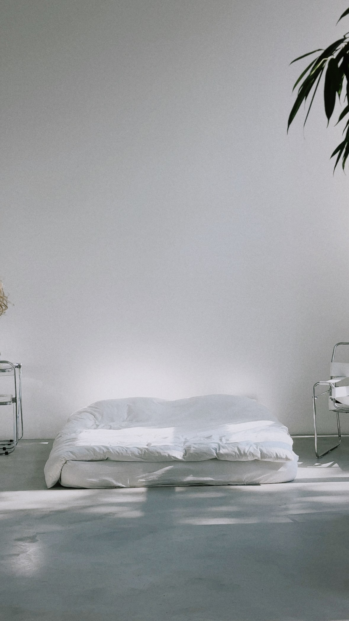 Tenzo x wookiee / lemonade. TENZO | Creative Producer / Art Director