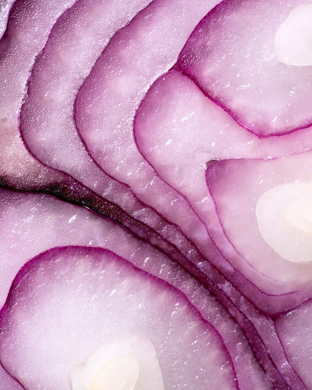 Фуд-фотограф Москва, фотосъемка еды для меню и рекламы, профессиональная съемка еды  для ресторана и кафе, рекламная фуд-съемка в Москве