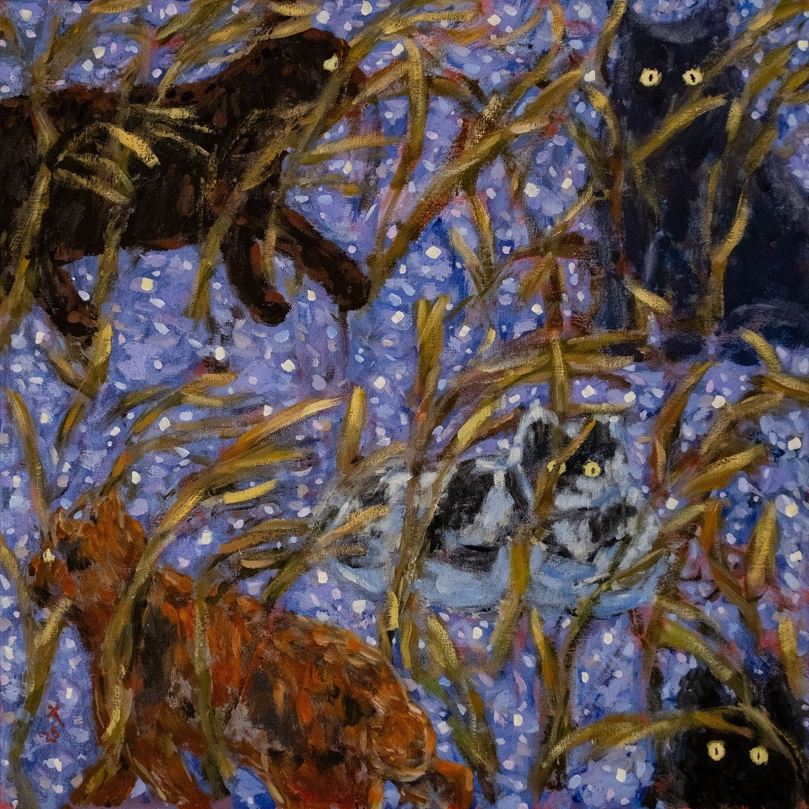 Вечерние огни. Холст, акрил, 60х60, 2025.