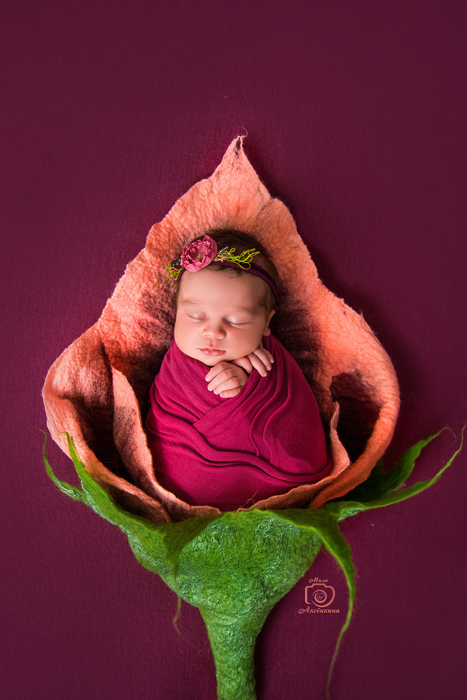 Портфолио новорожденных. Фотограф в Нефтеюганске Мила Аксёнкина