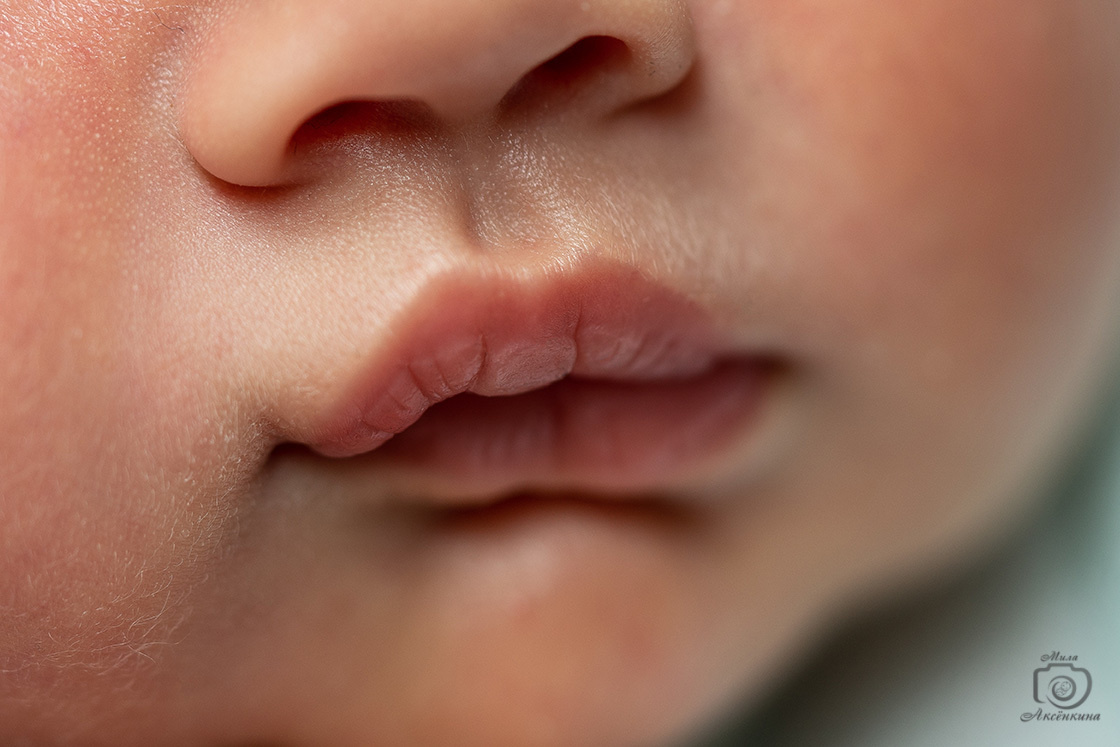 Портфолио новорожденных. Фотограф в Нефтеюганске Мила Аксёнкина