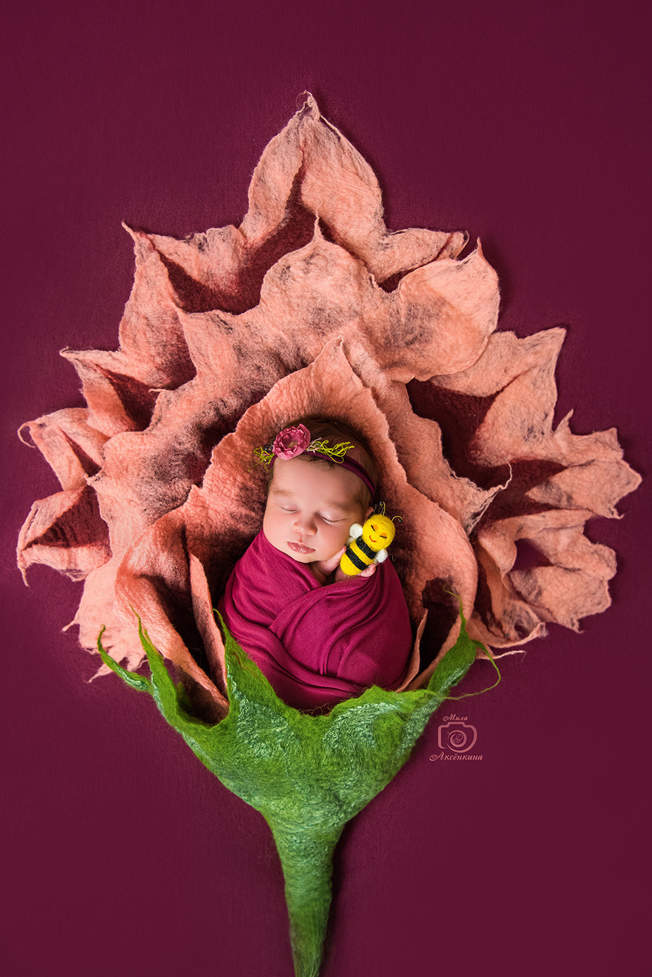 Портфолио новорожденных. Фотограф в Нефтеюганске Мила Аксёнкина