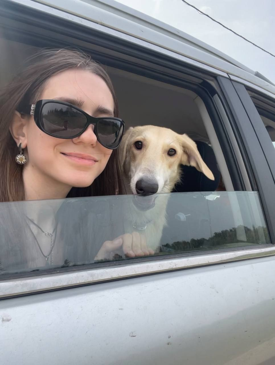 Уже дома. Забери домой друга