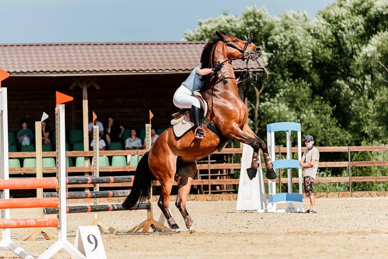 ЛЕТНИЙ КУБОК НА ПРИЗЫ КСК «ЖДАНОВСКОЕ ПОДВОРЬЕ» ПО КОНКУРУ. Конный фотограф Куракина Дарья • Фотосессии с лошадьми