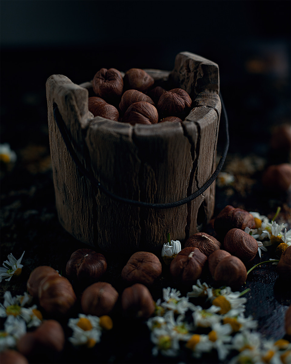 Ведро (акация)