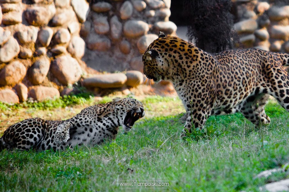Путешествия. Фотограф Александр Ямпольский
