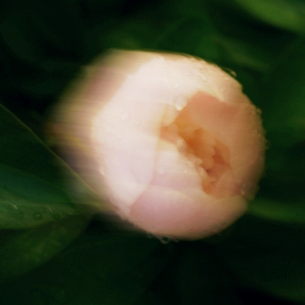 Природа. Настасья Проценко. Фотограф