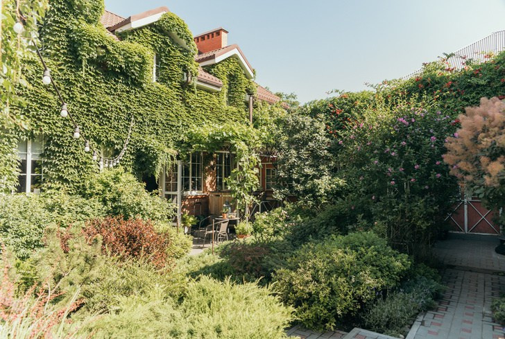 Теплица Власенко