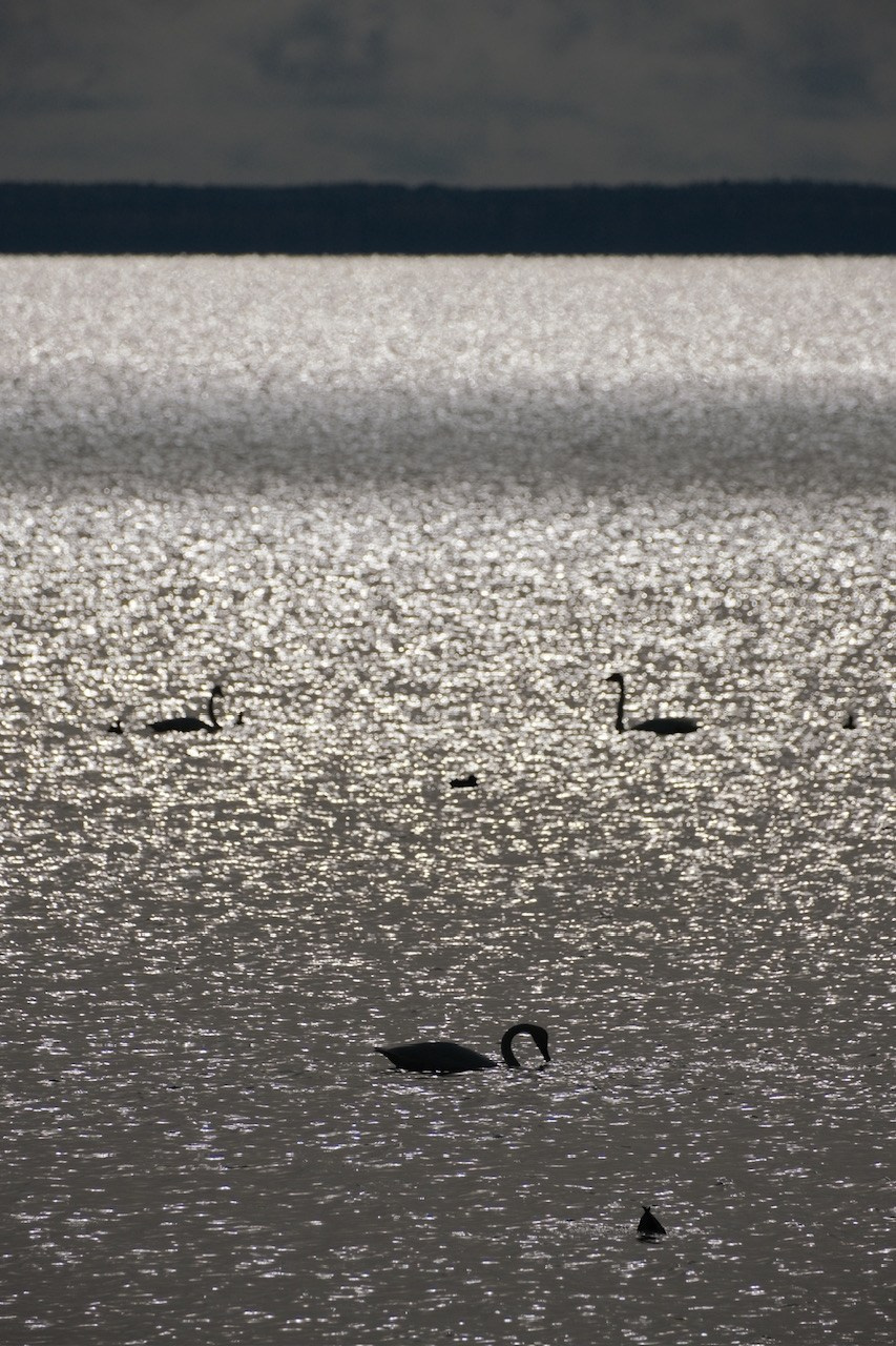 Архангельская область. Фотограф Евгений Андреев
