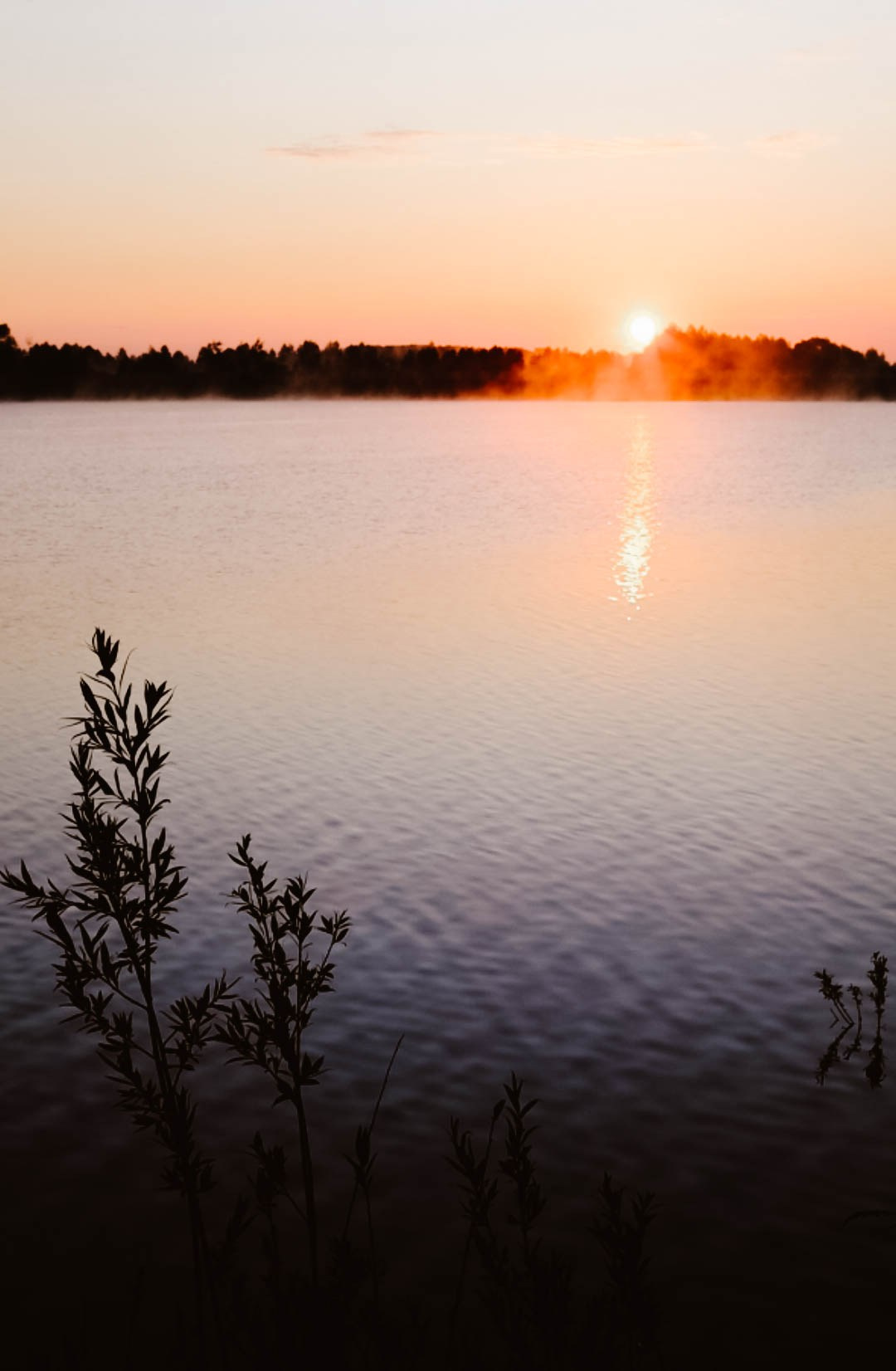 Выпускной 11А. Фотограф в Нижнем Новгороде