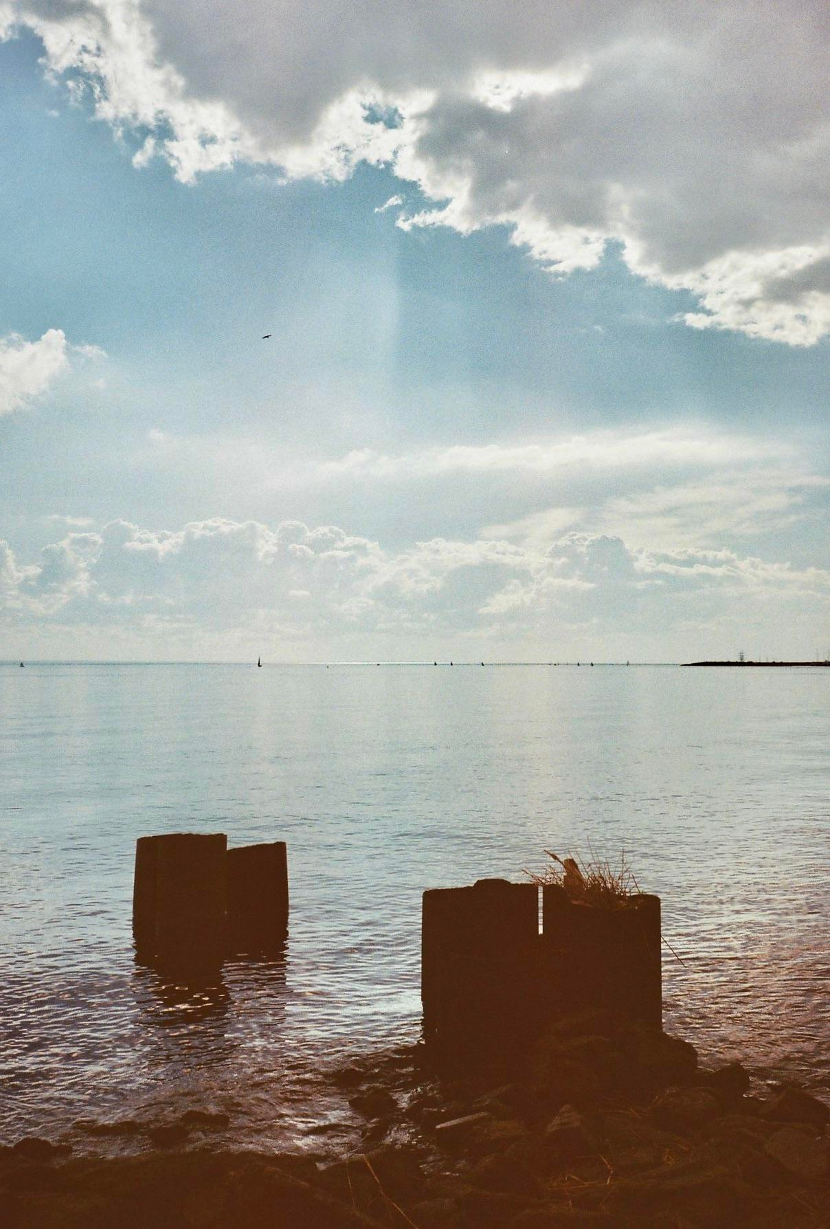 35mm film. Alina Panover