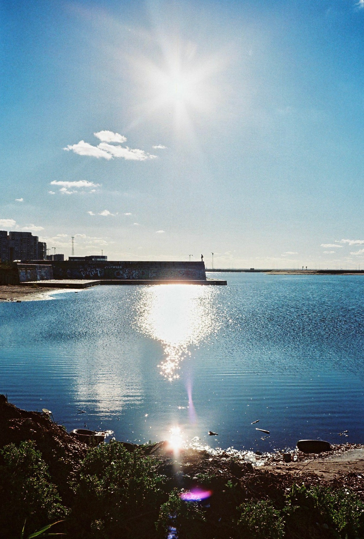 35mm film. Alina Panover