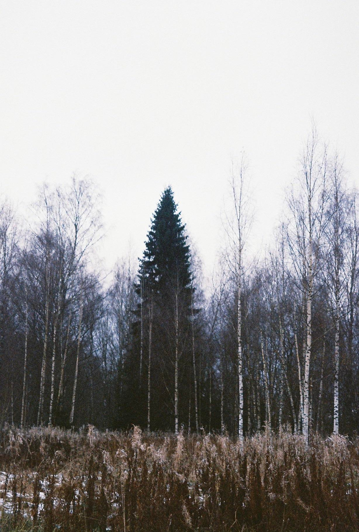 35mm film. Alina Panover