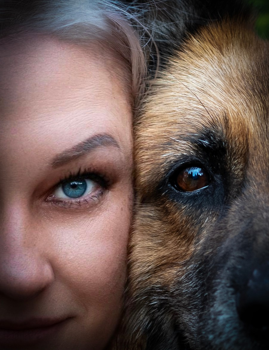 Овчарка. Фотограф — анималист Татьяна Ли