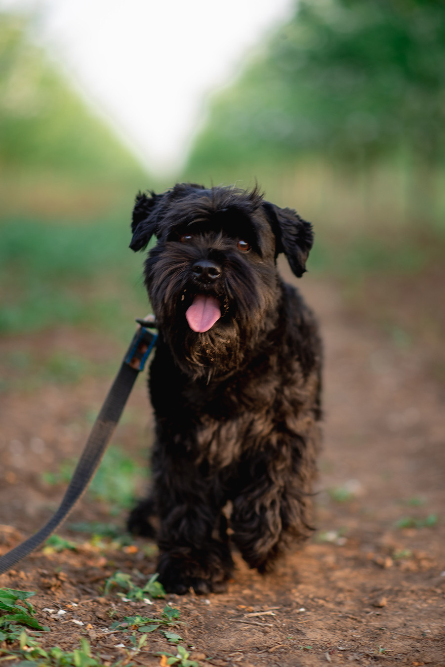 Семья и дети. Детский, свадебный и семейный фотограф в Волгограде Наталья Давыдова