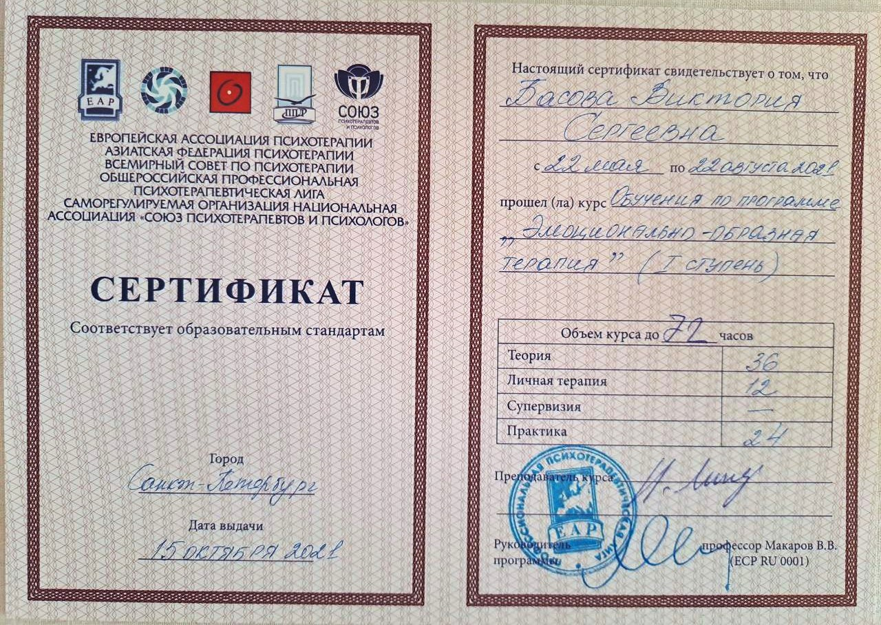 Образование Басова. Max Matvich and Victoria Basova are professionals in their field