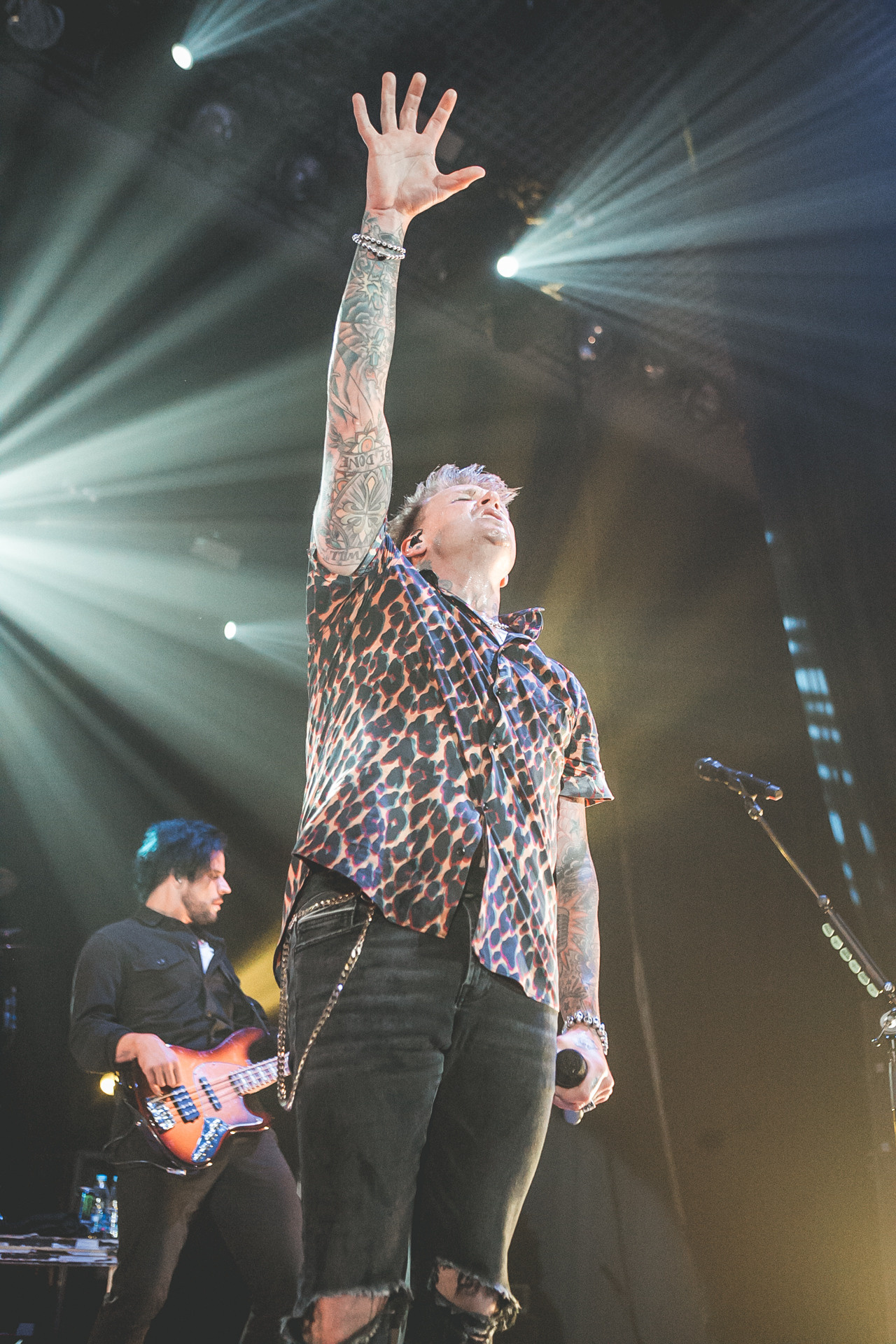 МТЛ арена Papa Roach 6.06. Фотограф в Самаре Максим Тырин