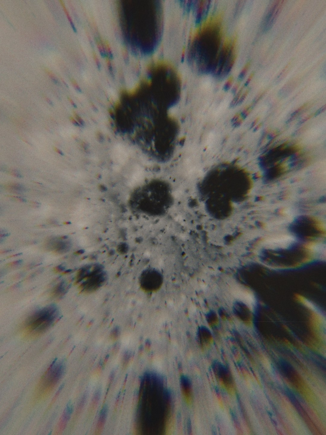 BUY ARTWORKS. Lysi Timofeeva