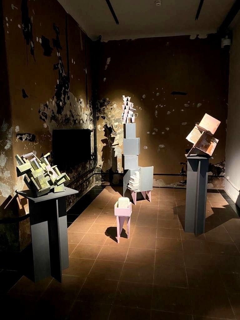 Объекты. «Семена-кости». Лилия Ким. Междисциплинарный художник