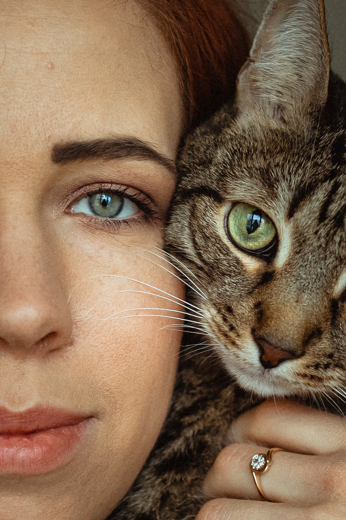 Как я выбираю, на какой объектив снимать животных?