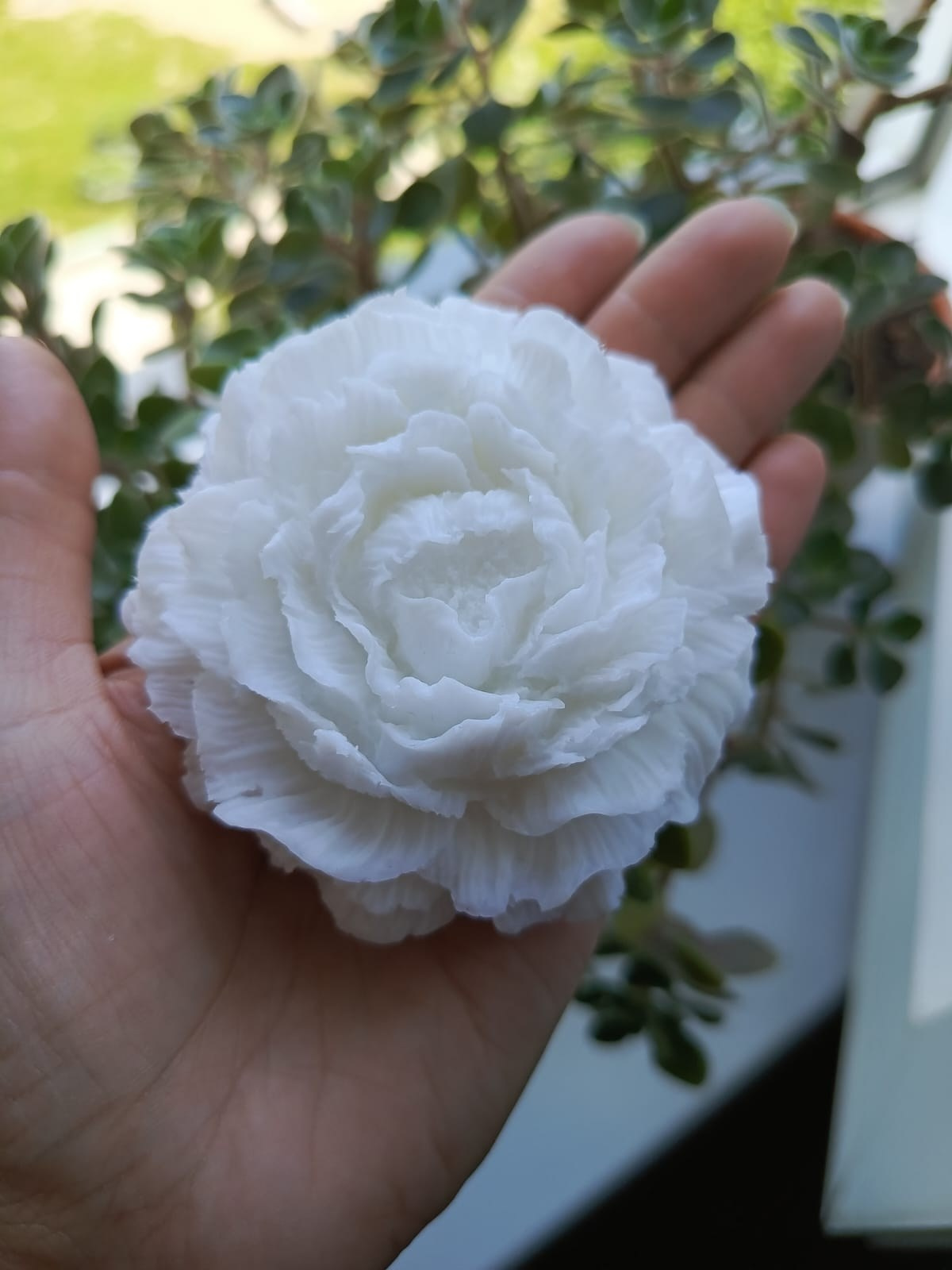 Компания КОРОБКА