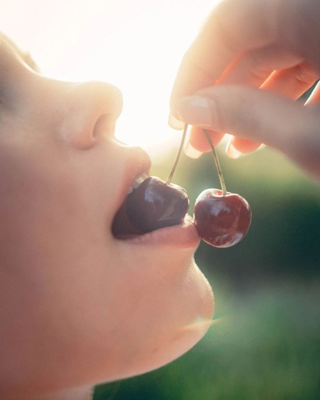 Фото пикник (ЗАВЕРШЕН). Женский и репортажный фотограф Москва Натали Смирнова