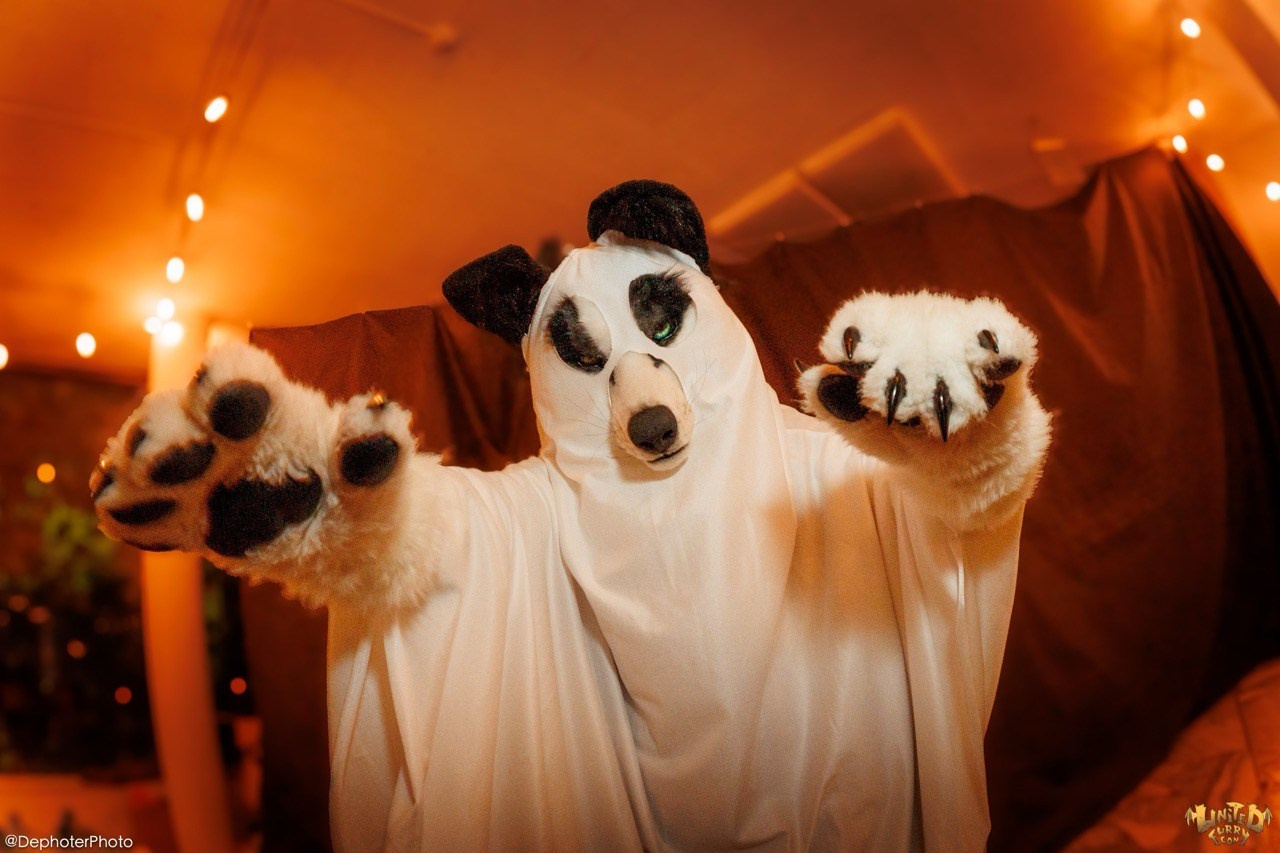 United Furry Convention 2026. Различные мероприятия и просто фотографии людей