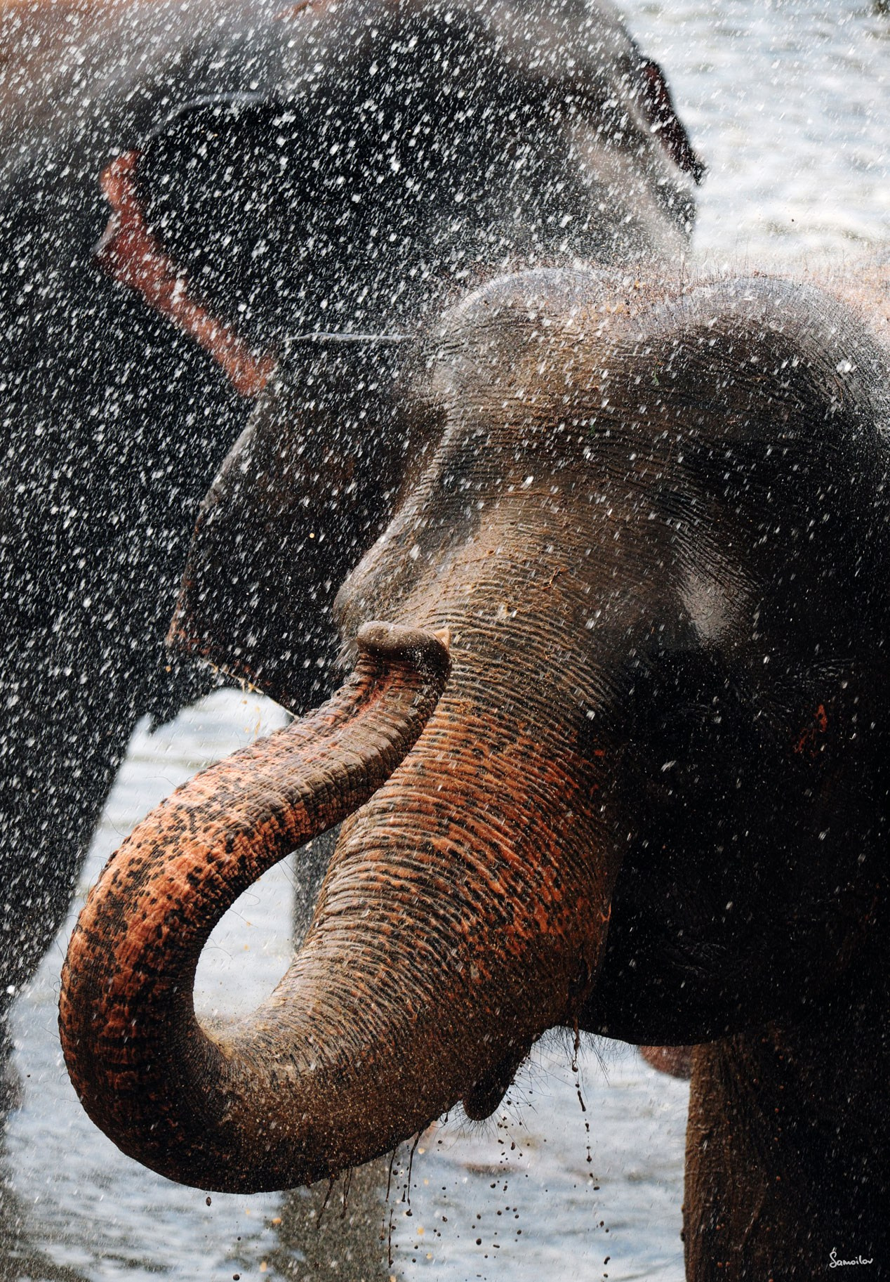 Фотографии для интерьера. Oleg Samoilov is a documentary photographer for brands that value an honest story