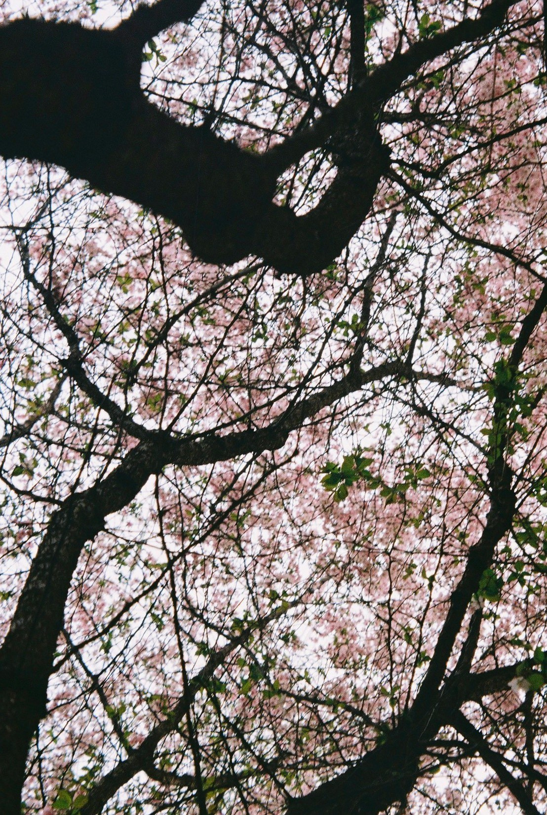 Всякие картинки