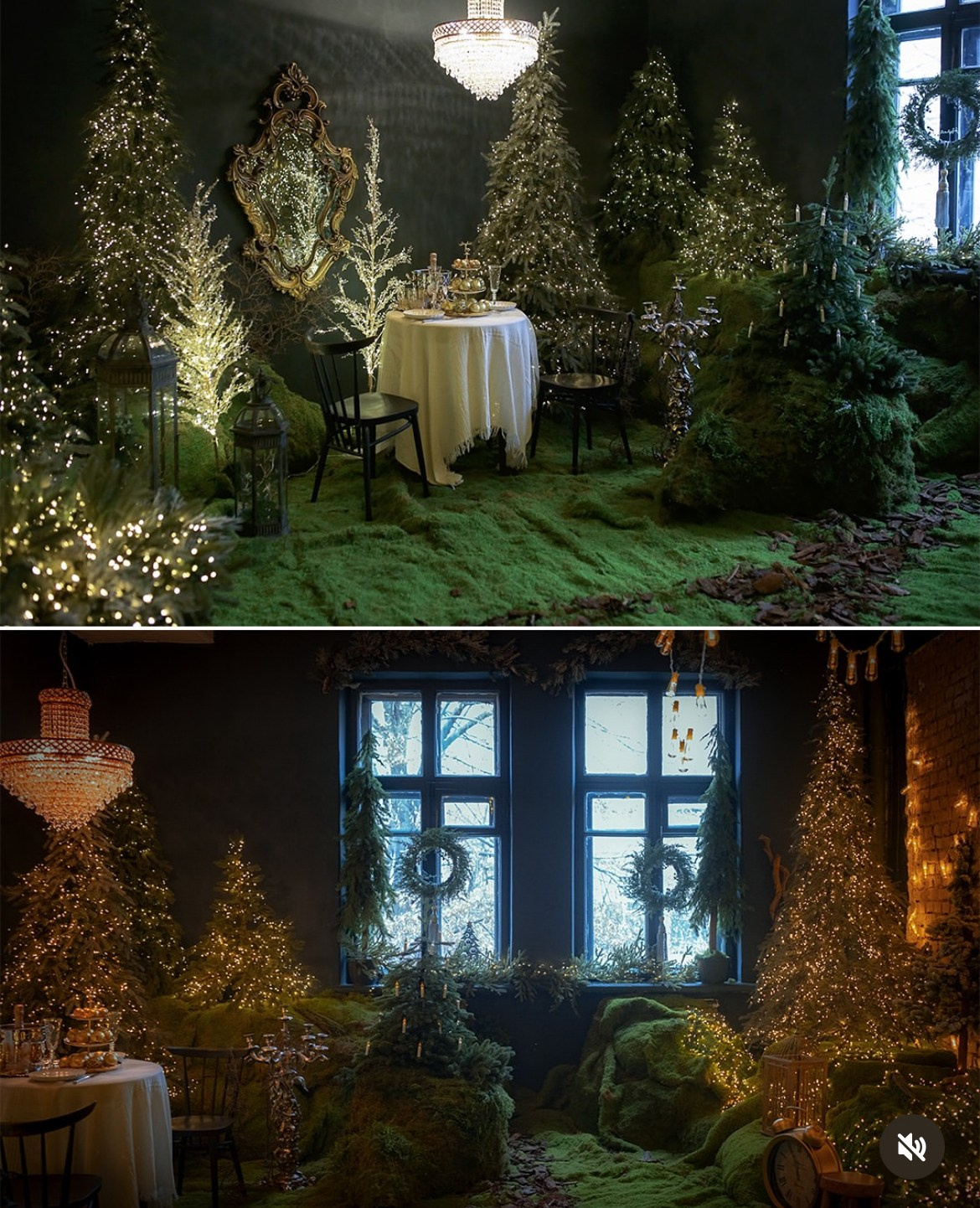 Forest. Фотограф в Алматы