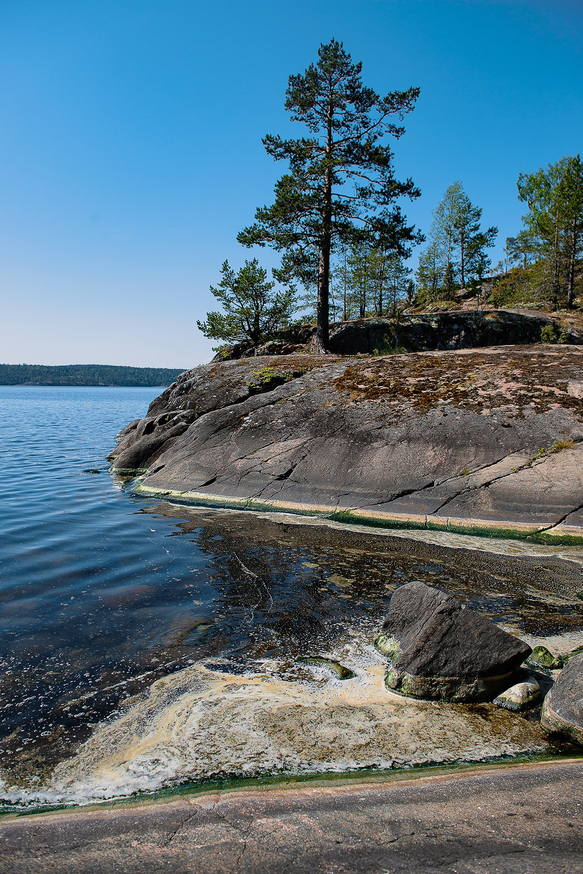 Карелия. Фотограф-анималист Наталья Светличная