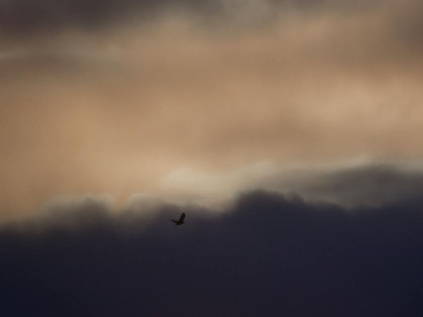 Фотограф Благовещенск