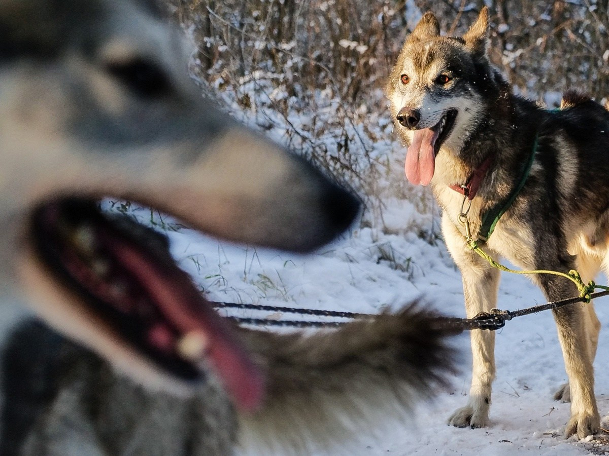 СОБЫТИЯ. Фотограф в Самаре Светлана Маковеева