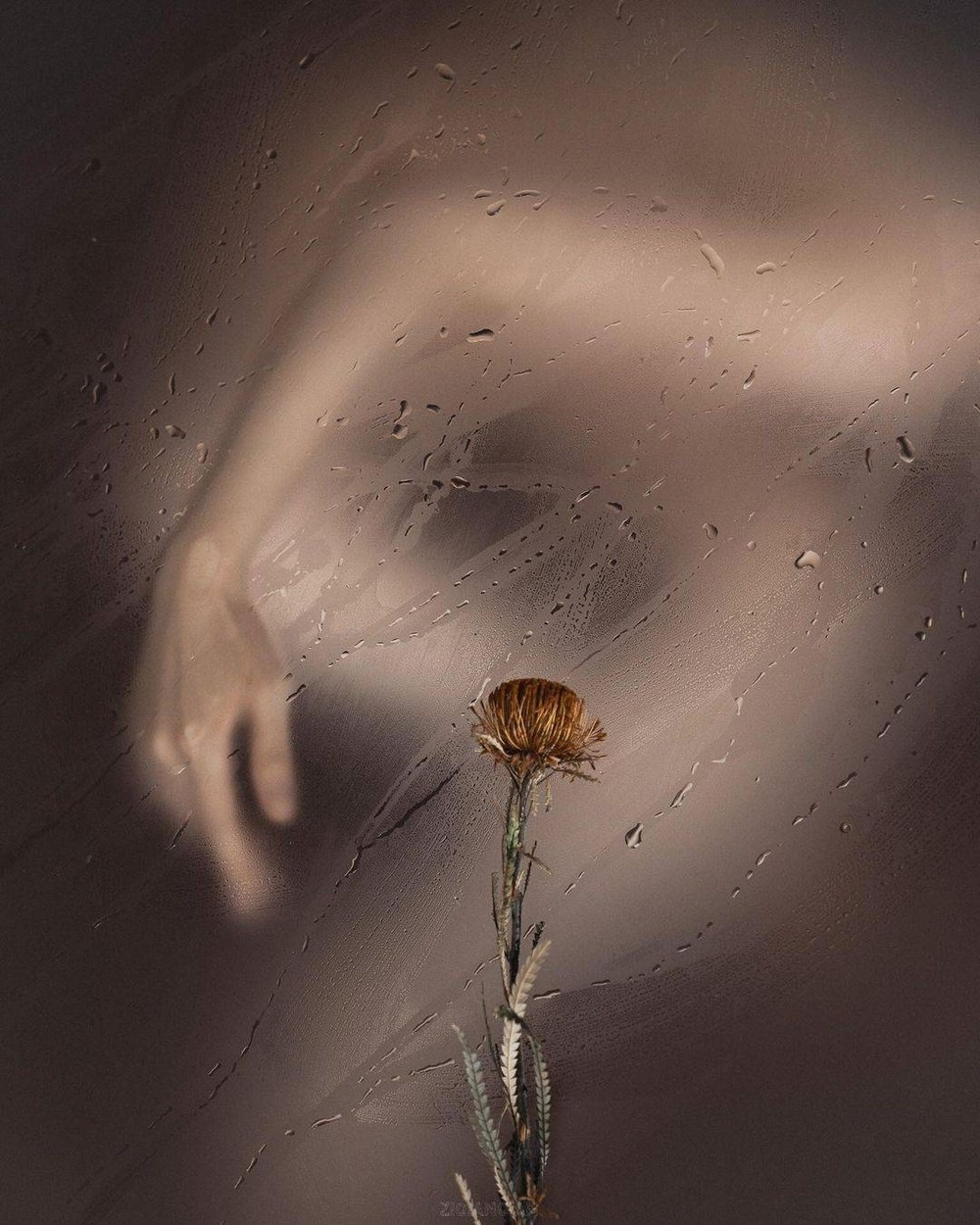 Цзыцянь Лю — китайский фотограф, портрет