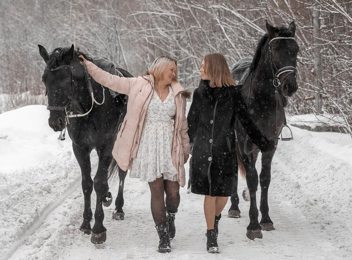Лошадки зима. Фотограф Зинаида Евдокимова
