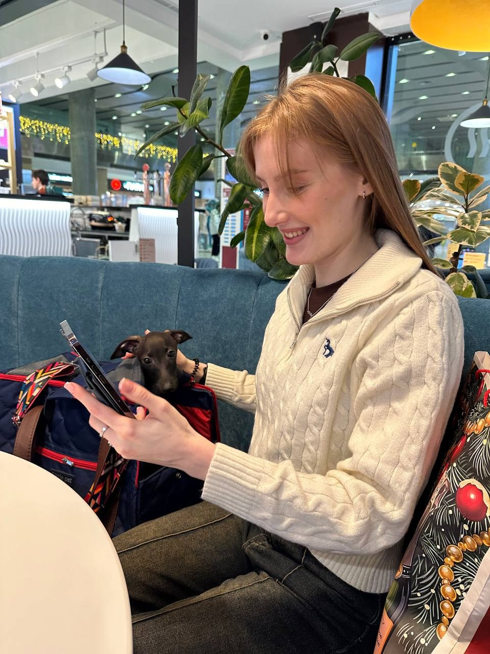 Итоги января. Профессиональный питомник левреток РКФ/FCI ASTI SAPPHIRE 💎 Сочи|Санкт-Петербург