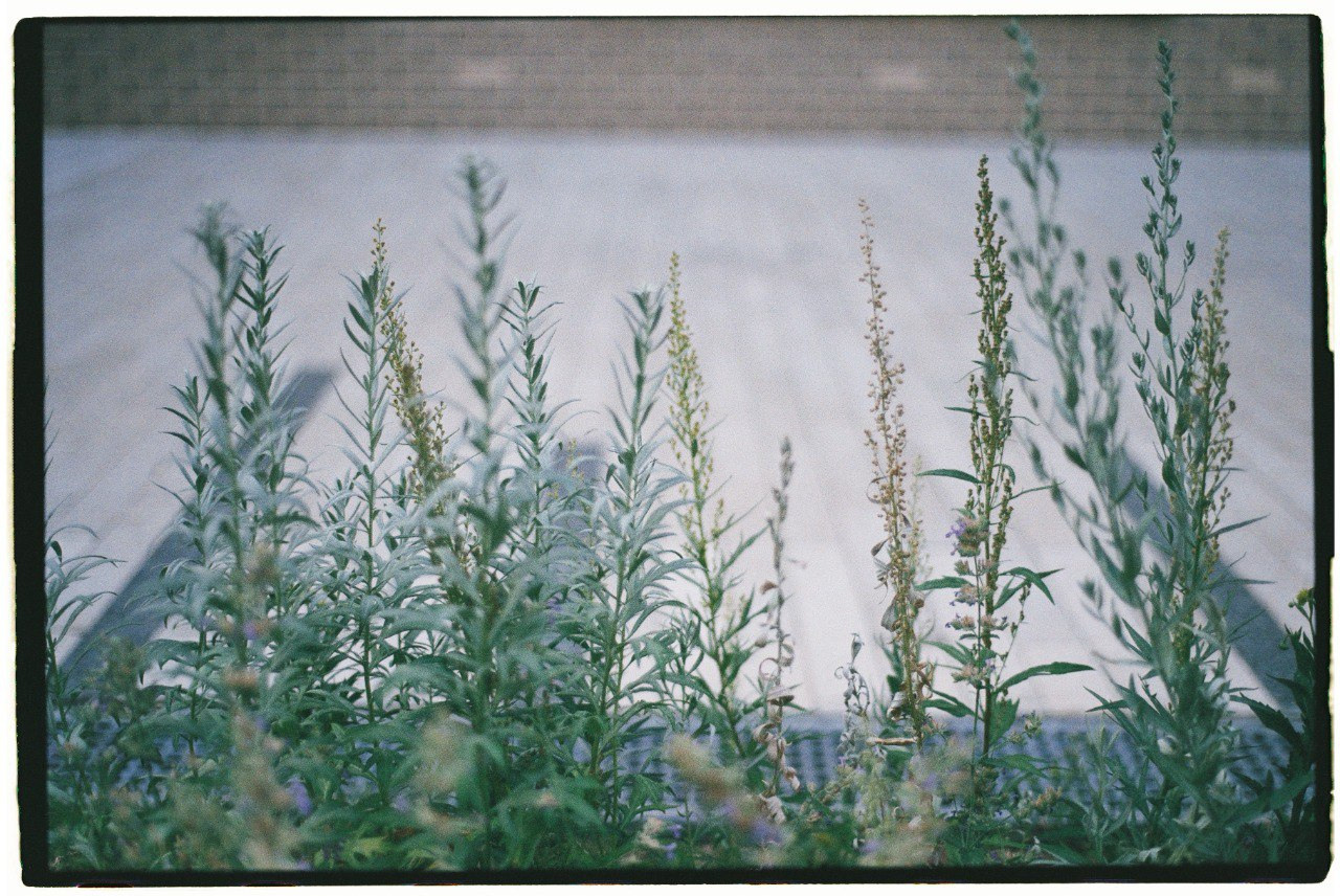 Film. Photographer, Masha Berliner