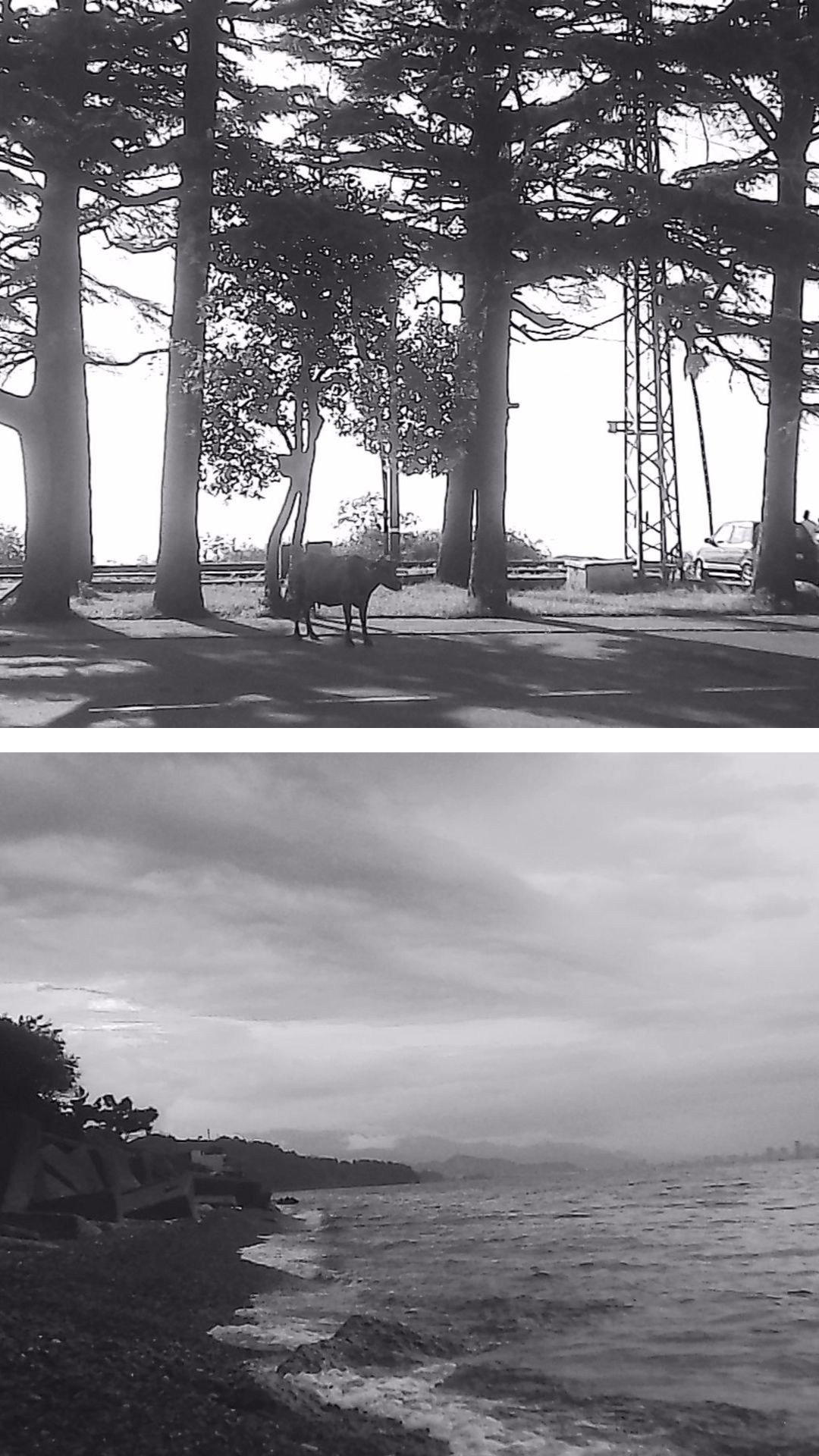 «Крошка 🐣». Anita_photo